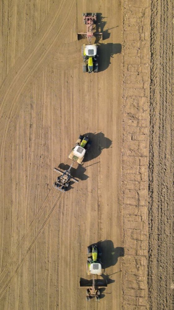 Livelle in campo — Agromeccanica Rocchi