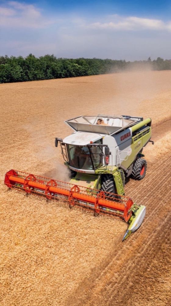 Raccolta cereali — Agromeccanica Rocchi