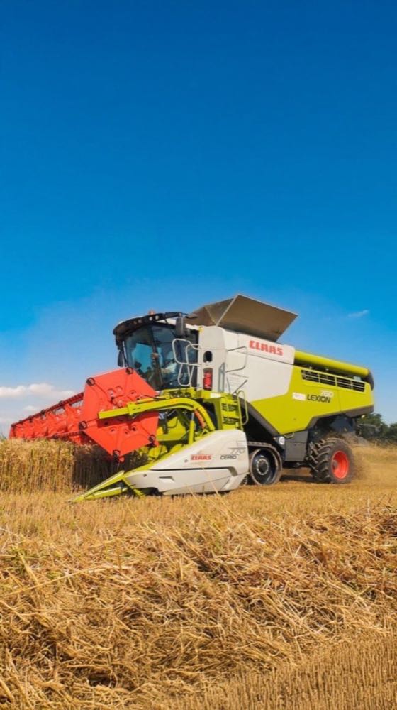 Lexion in campo — Agromeccanica Rocchi