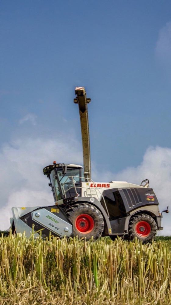 Trincia con testata per taglio diretto — Agromeccanica Rocchi